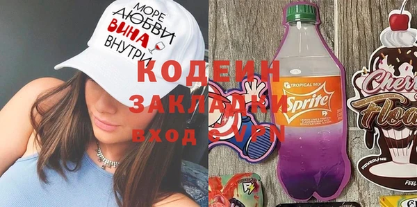 индика Горно-Алтайск