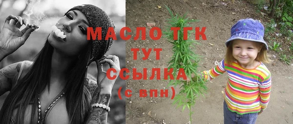 индика Горно-Алтайск