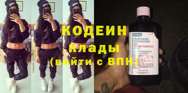 индика Горно-Алтайск