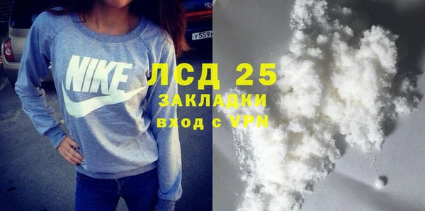 индика Горно-Алтайск