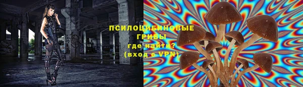 индика Горно-Алтайск