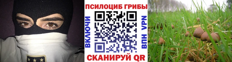 Псилоцибиновые грибы прущие грибы  Дивногорск 