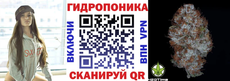 Конопля Amnesia Дивногорск